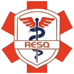 HealthLink Logo